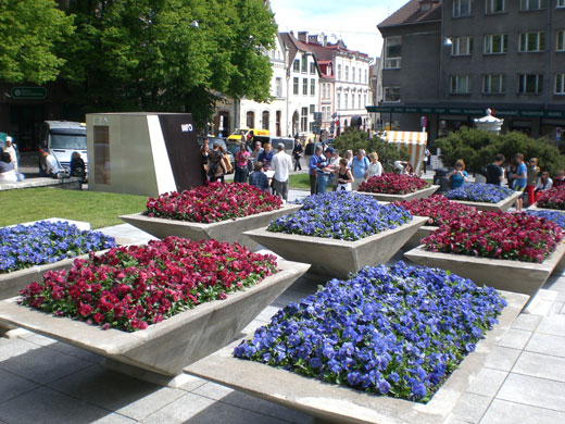 picture