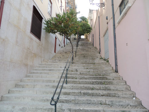 pic1