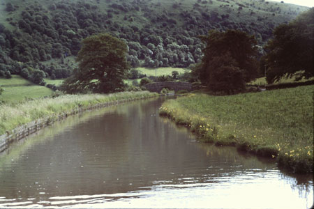 1978 pic 6