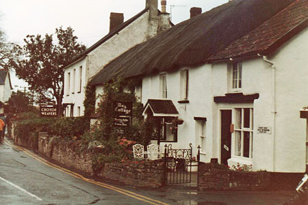 1980 pic 1