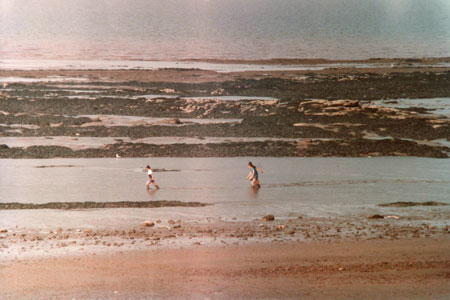1984 pic 1