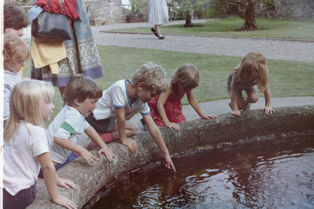 1984 pic 12