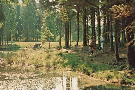 1989 pic 4