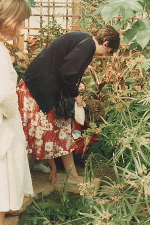 1989 pic 5