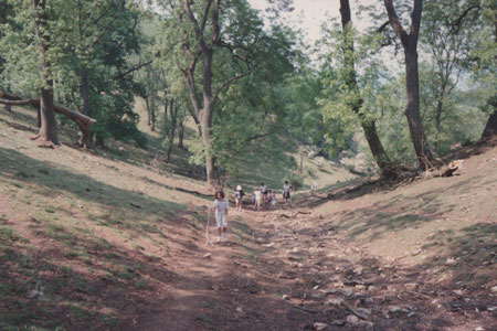 1990 pic 3