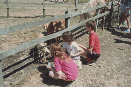 1990 pic 6