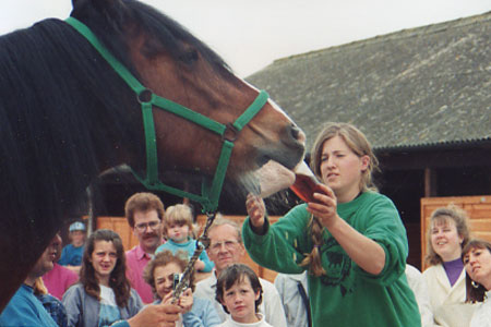 1993 pic 3
