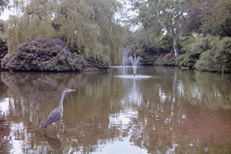 1994 pic 14