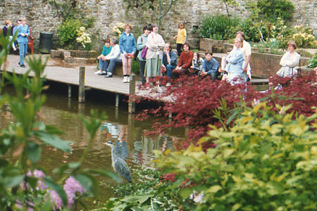 1994 pic 6
