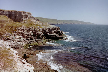 2002 pic 3