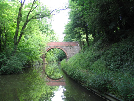 2005 pic 3